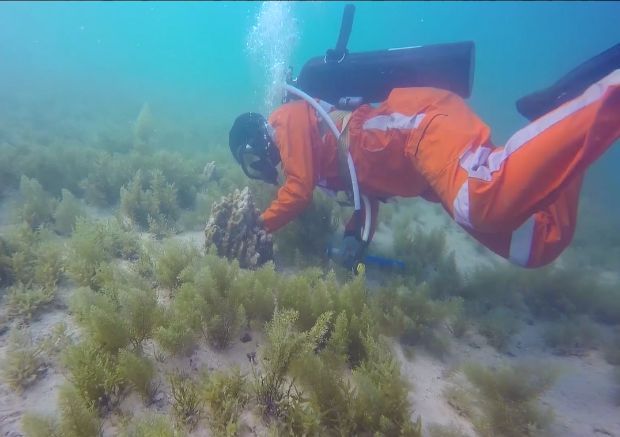 首页 - JDB电子官方网站