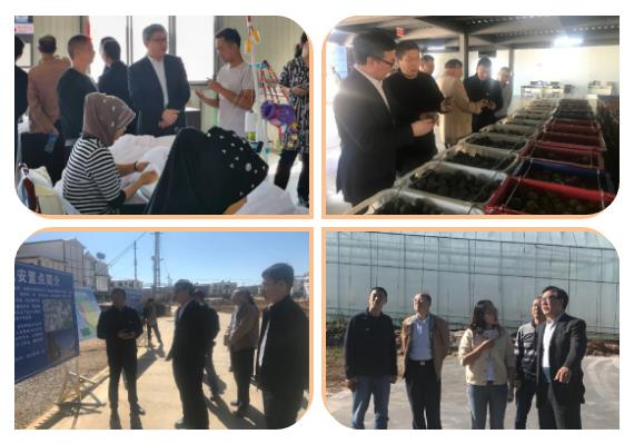 首页 - JDB电子官方网站