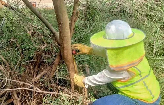 首页 - JDB电子官方网站