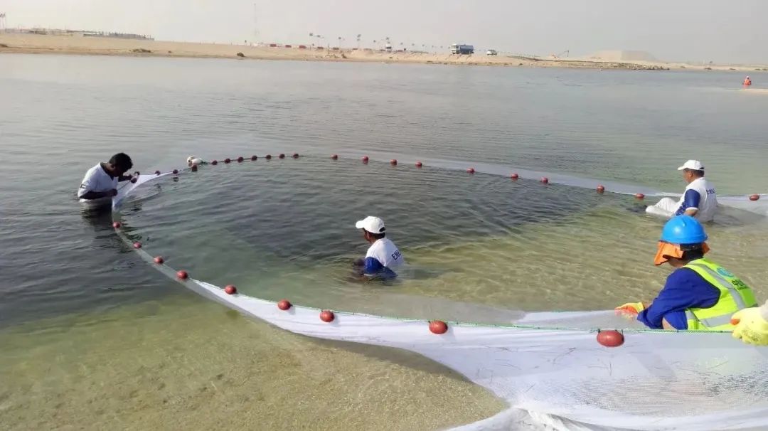 首页 - JDB电子官方网站