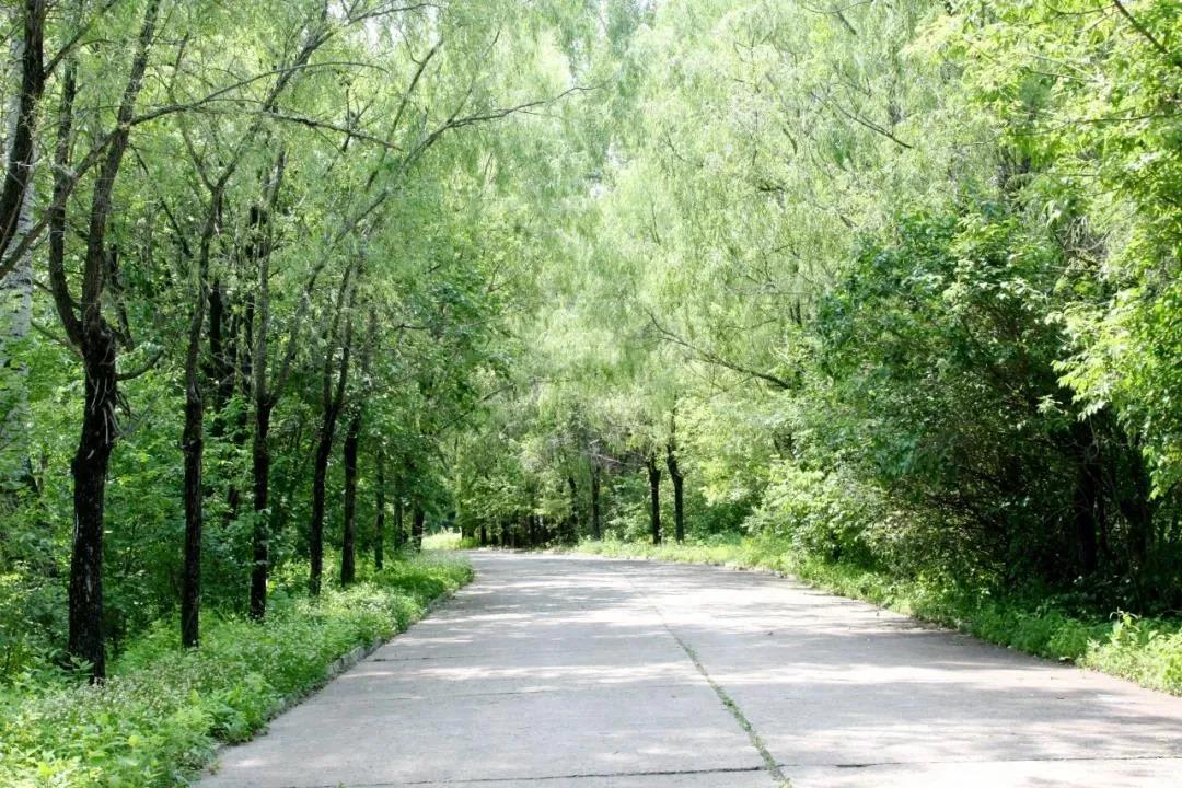 首页 - JDB电子官方网站