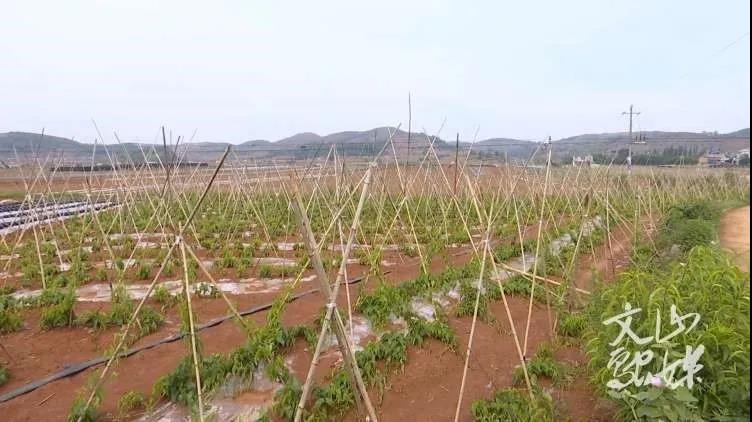 首页 - JDB电子官方网站