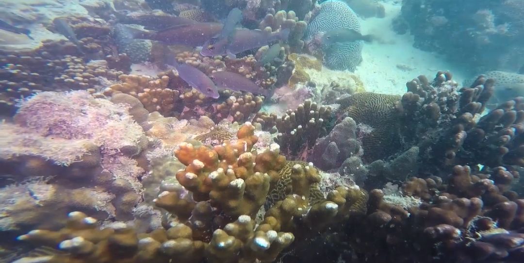 首页 - JDB电子官方网站