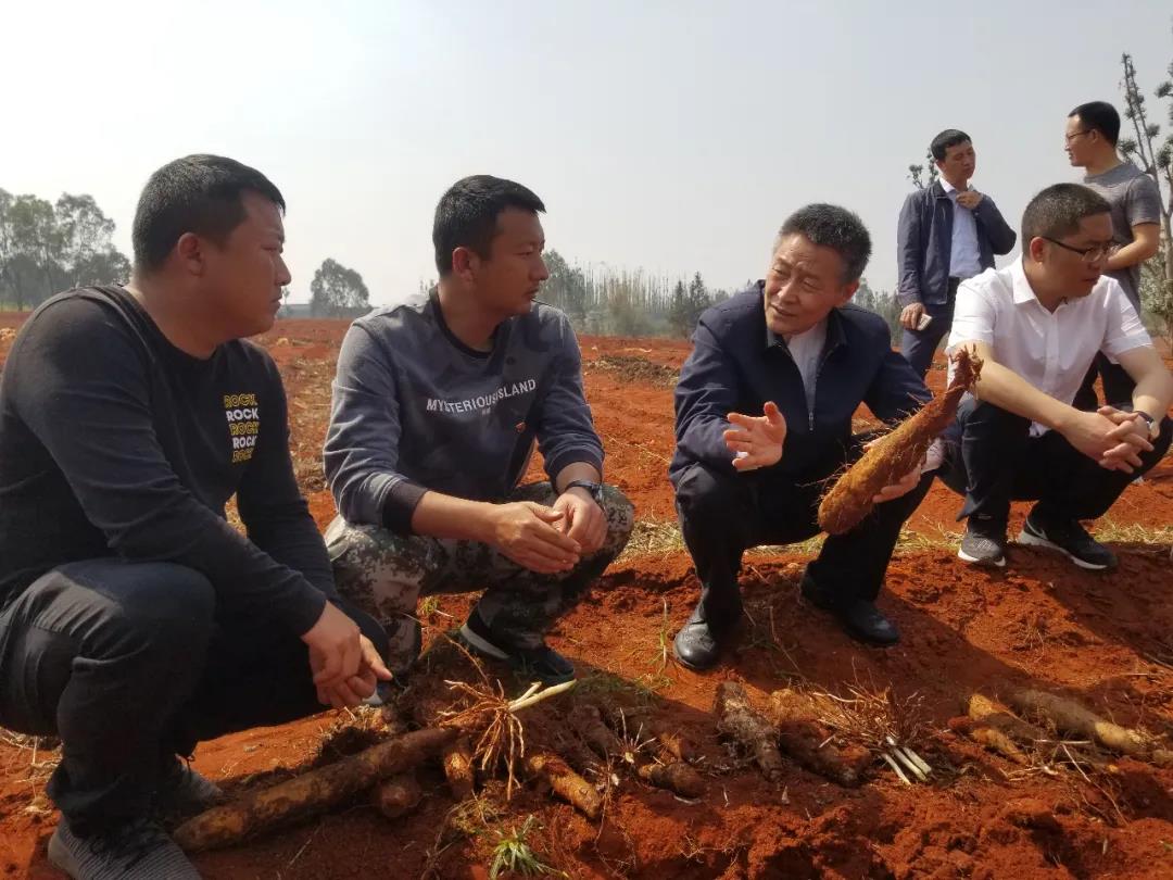 首页 - JDB电子官方网站