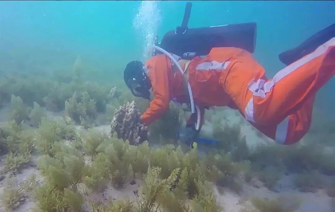 首页 - JDB电子官方网站